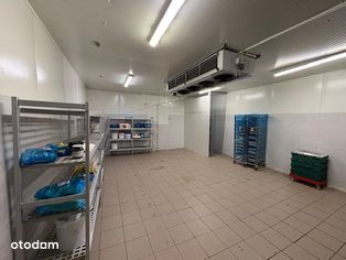 Catering, Garmaż, Produkcja, Hurtownia, Chłodnia, Mroźnia, Magazyn - Pełny obrazek: 5/20