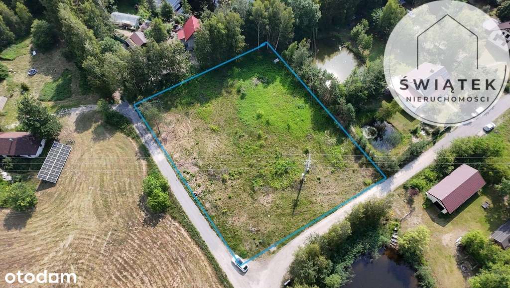 Piękna Działka w otoczeniu lasów Grabowiec - Pełny obrazek: 1/6