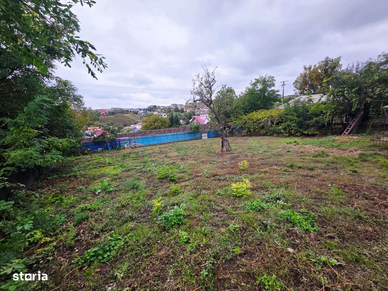 Teren Deosebit INTRAVILAN 1923mp constructii case VALEA LUPULUI Iasi-3