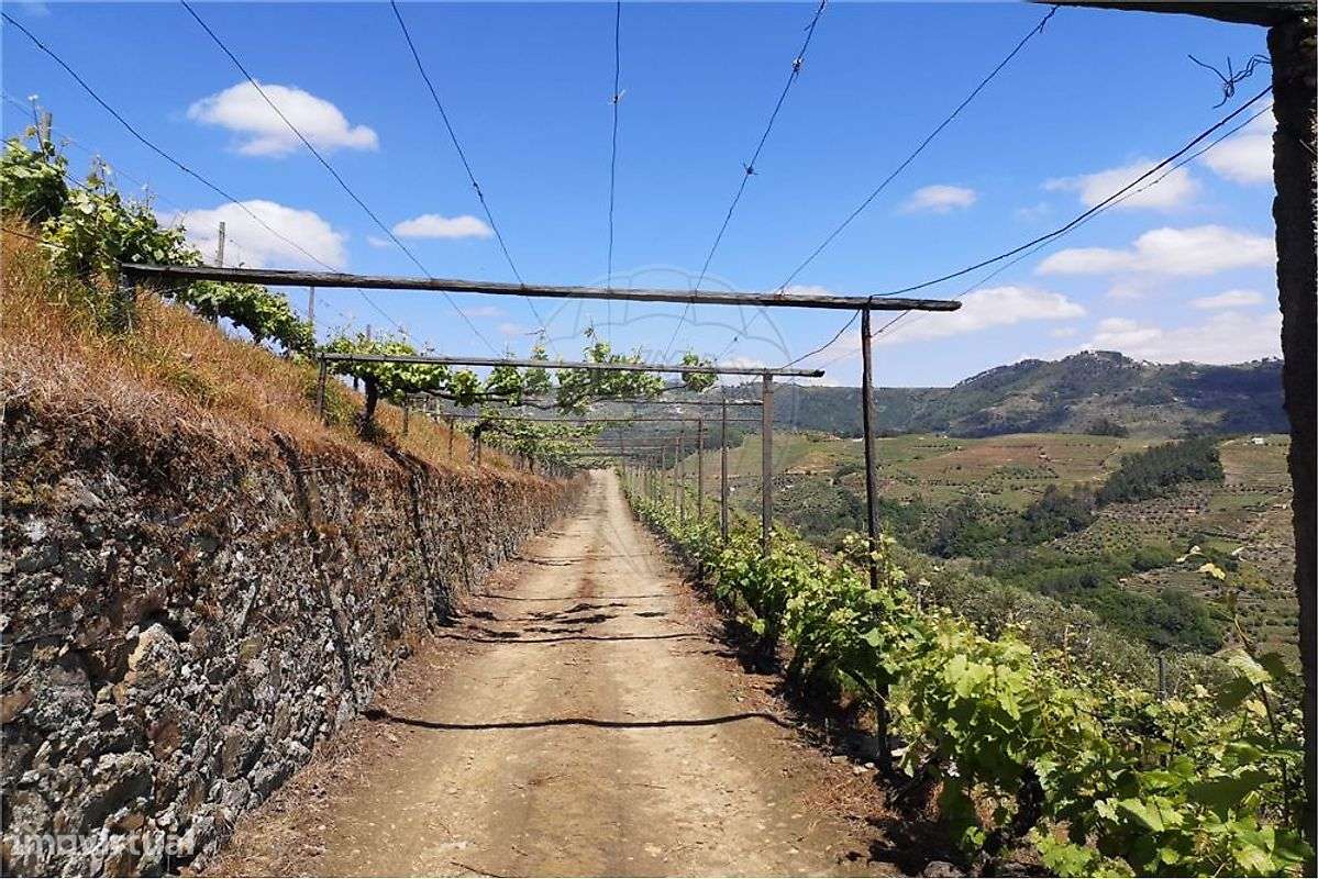 Terreno  para venda - Grande imagem: 4/27