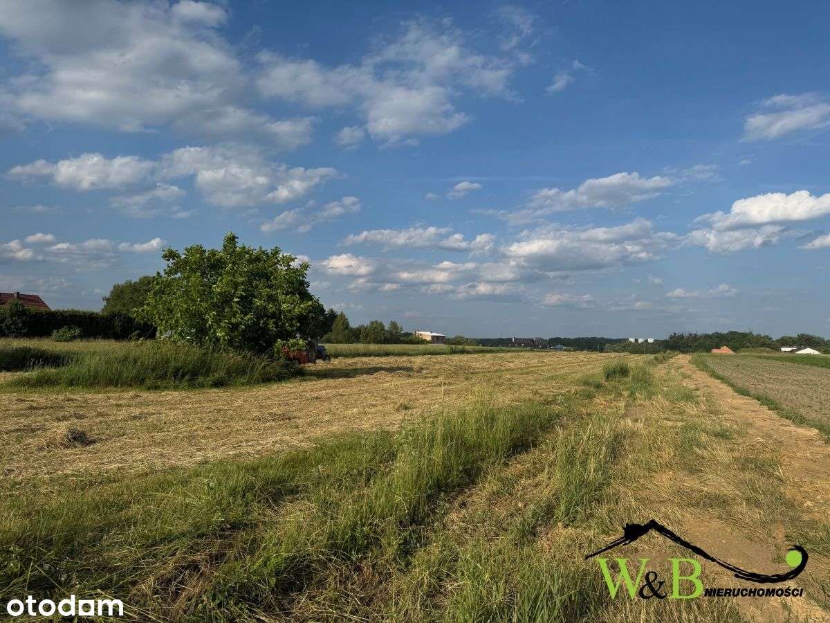 Działka budowlana w Starych Tarnowicach - Pełny obrazek: 5/5