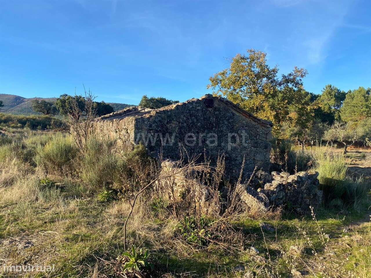 Quintinha T1 / Fundão, Vale de Prazeres e Mata da Rainha - Grande imagem: 2/12