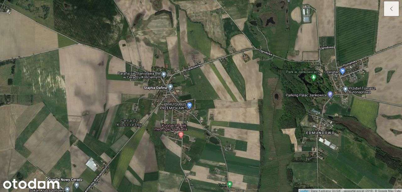 Działka budowlana Ceradz Kościelny - Pełny obrazek: 4/12