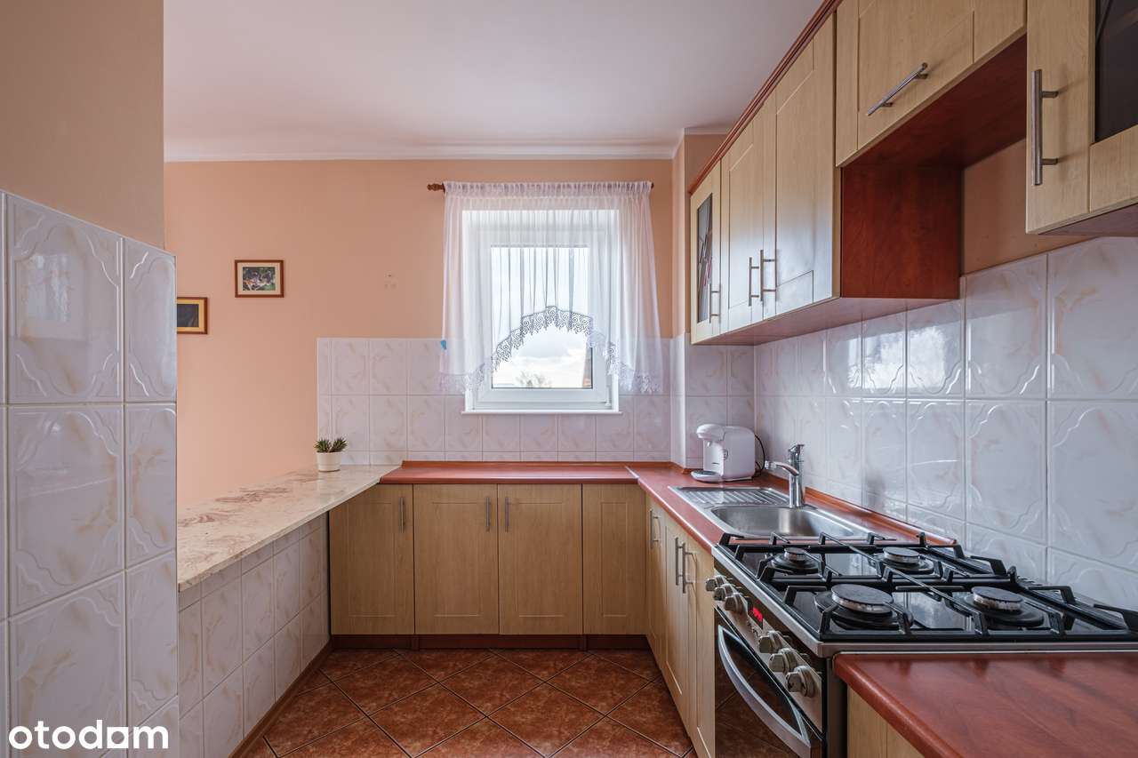 Banino Jesionowa |Piwnica |Dwie działki |Od zaraz-6