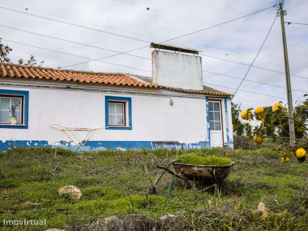 ** Fantástico Monte Alentejano com 50.000m2 Próximo a Maravilhosa C...-27