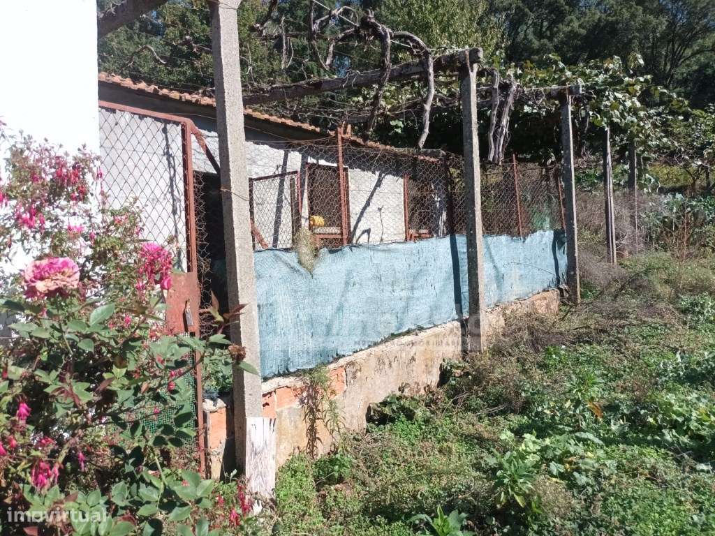 Moradia T3 em Campelo-48