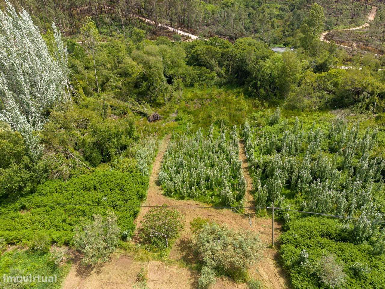 Encantadora moradia T-4 em Pipa, Vila Cã, Pombal - Oportunidade Única-40
