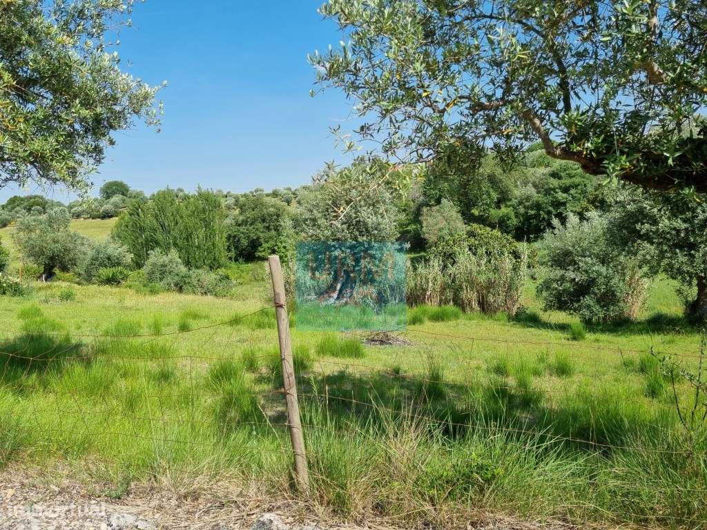 TERRENO Urbano - Grande imagem: 3/17