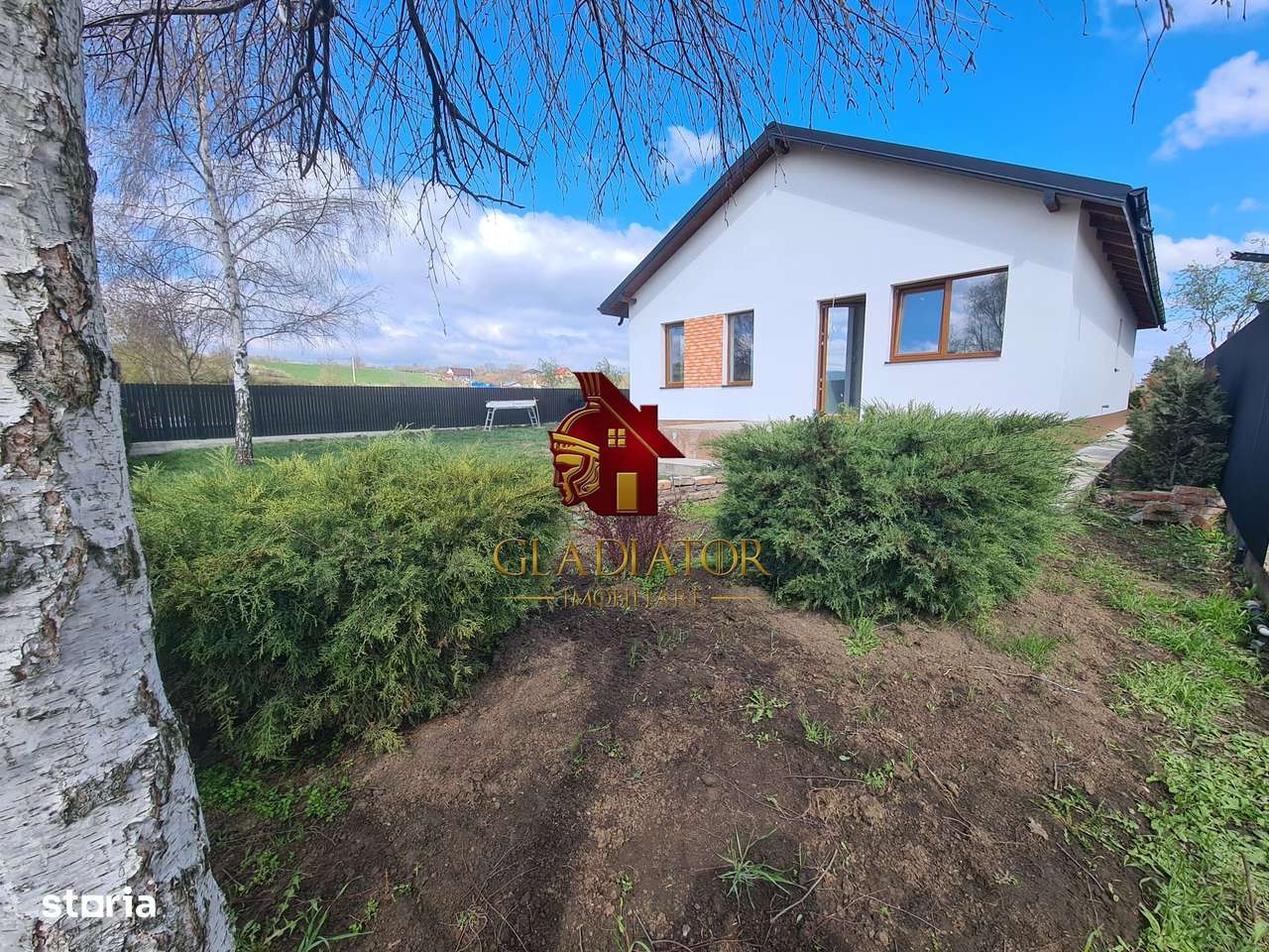 Casa plan parter deosebita, Lunca Cetatuii Ciurea, la asfalt, zona vis-11