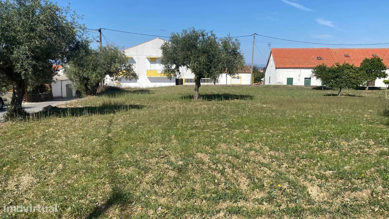 Terreno Rústico ideal para Construção em Benquerenças| Castelo Branco - Grande imagem: 3/14