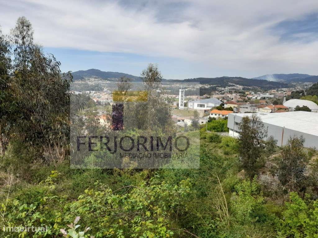 LOTES VILARINHO - Grande imagem: 4/5