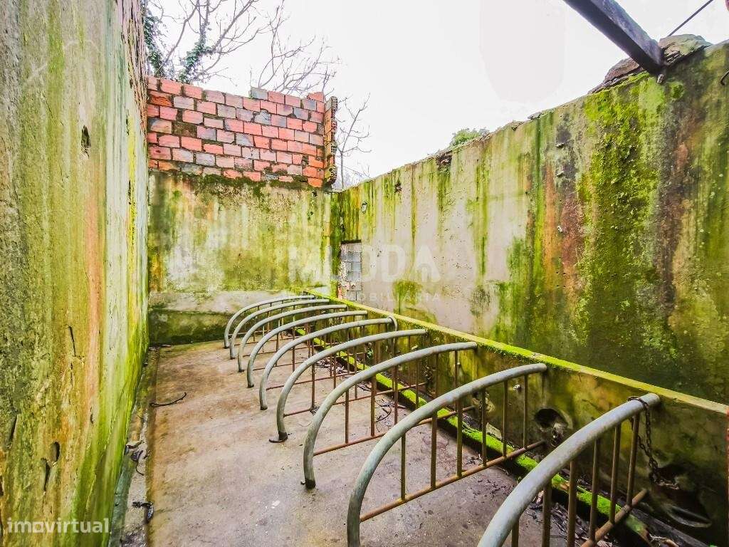 Moradia T2+1 para restauro a 10min Aveiro-20