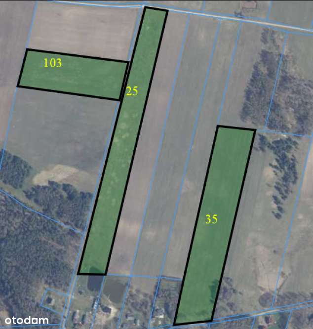 grunt rolny niezabudowany 17,9408 ha Cetyn - Pełny obrazek: 2/3