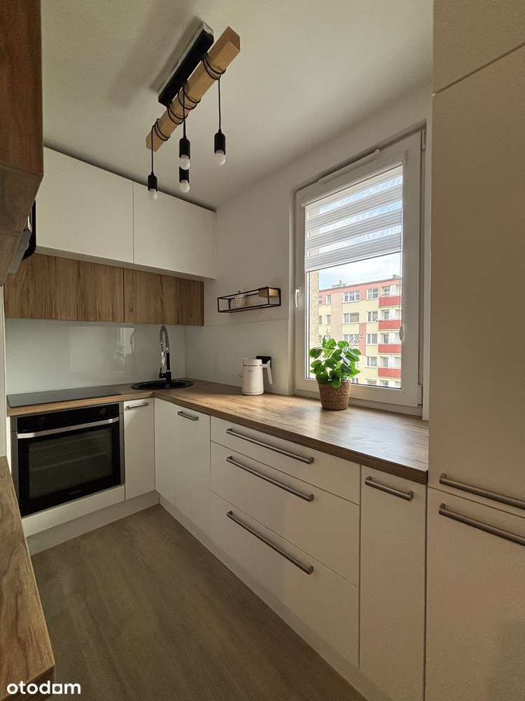 Jasne 2-pok, Gdynia Witomino, przyjazne zwierzętom - Pełny obrazek: 4/11