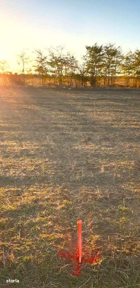 Eforie Sud, Teren 1608mp.D=50m./32m.1km.distanta de Mare-11