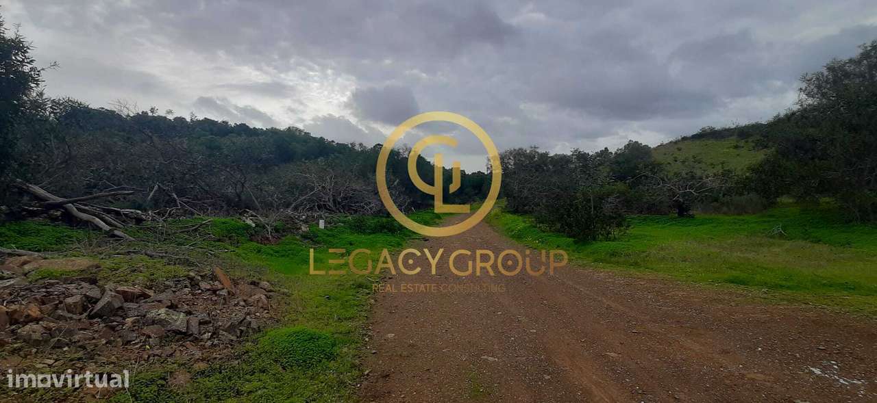 Terreno rústico com 2,11 hectares em Azinhal - Grande imagem: 4/9