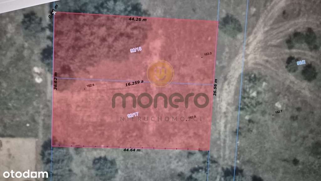 Działka 1341 m² – Stara Wola Gołębiowska - Pełny obrazek: 4/5