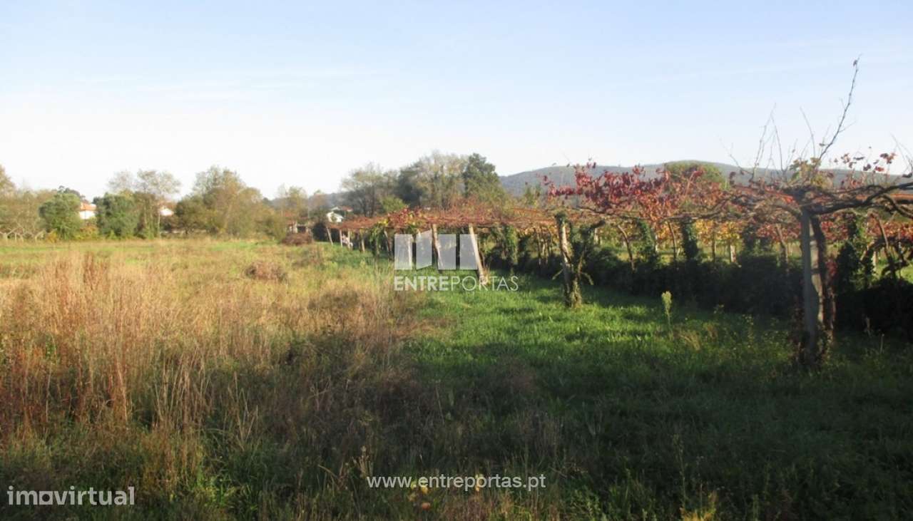 Venda de terreno agrícola, Barroselas, Viana do Castelo - Grande imagem: 4/4