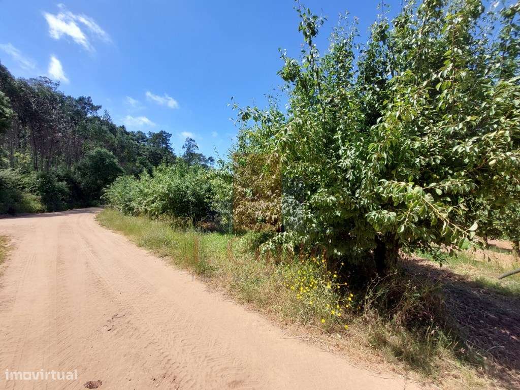 Terreno Rústico com 960 m² em Sancheira Pequena, Óbidos-5