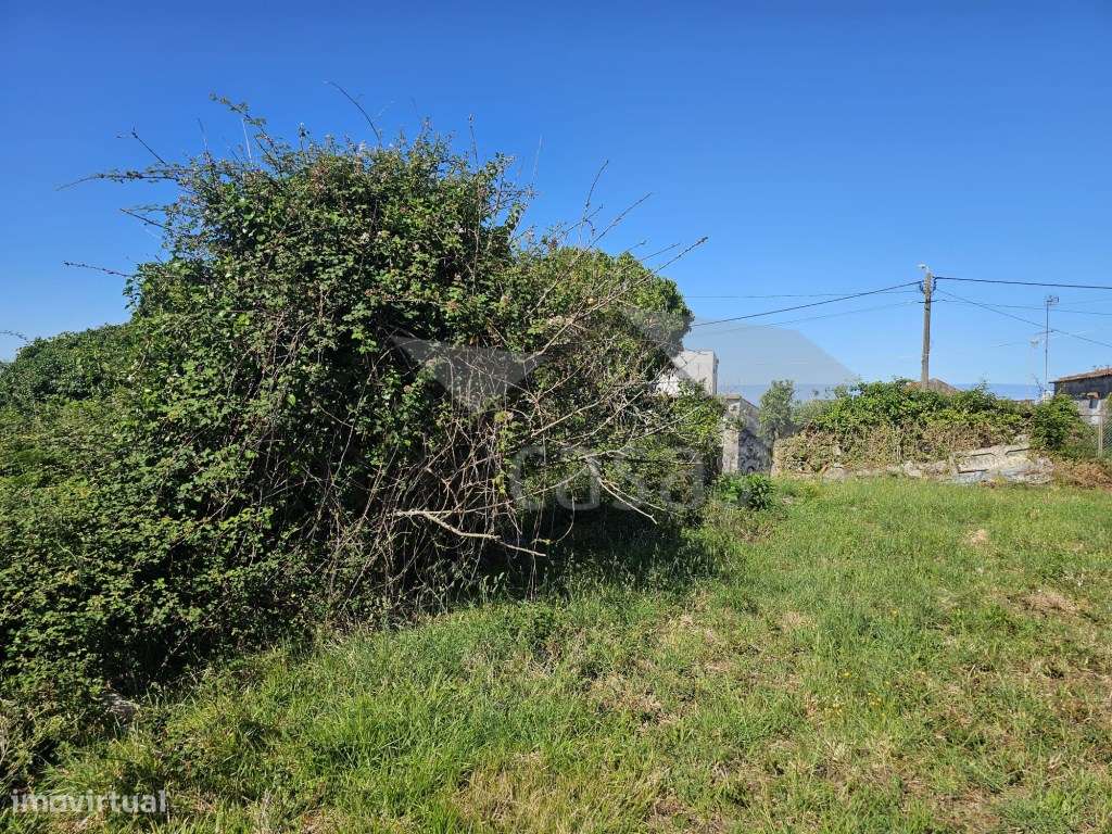 Quintinha com Moradia para Reconstrução - Grande imagem: 5/9