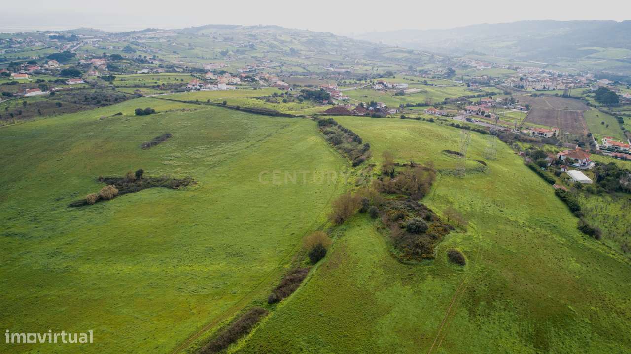 Quinta - 25 hectares-10