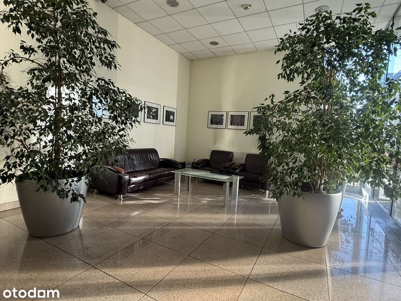 2 pokoje, oddzielna kuchnia, komórka, garaż, metro-15