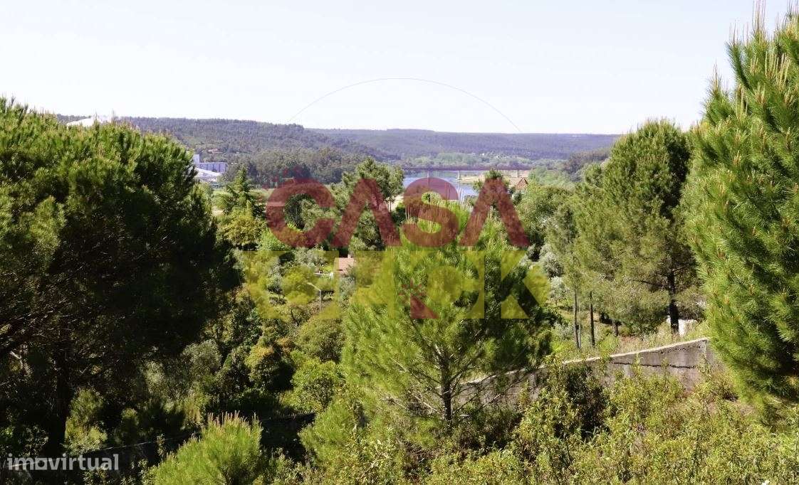 Lote de Terreno T4 Venda em Constância,Constância-7