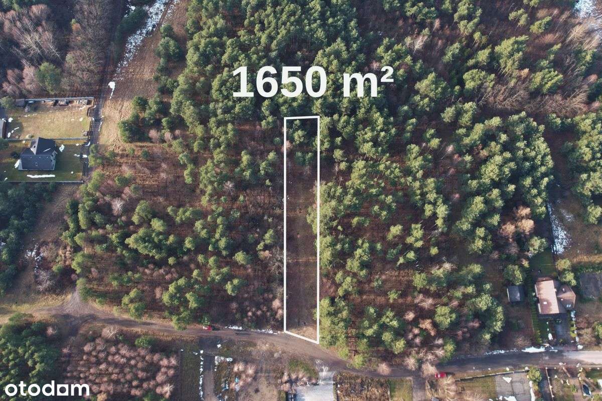 Piękna działka w otoczeniu lasu! - Pełny obrazek: 3/20