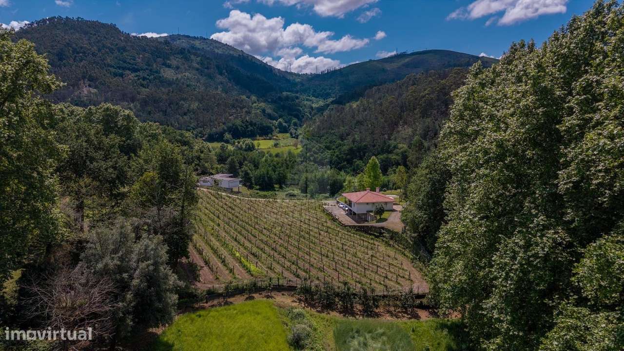 Quinta com Vinha Produtiva e Potencial Turístico junto ao Gerês-42