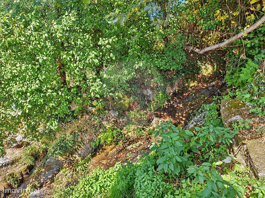 Terreno  para venda-12
