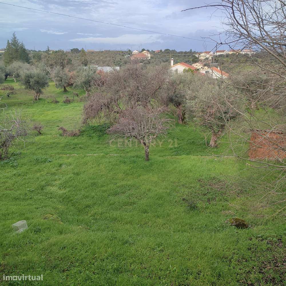 Terreno com 5000m2 com possibilidade de construção, Castelo Branco - Grande imagem: 3/7