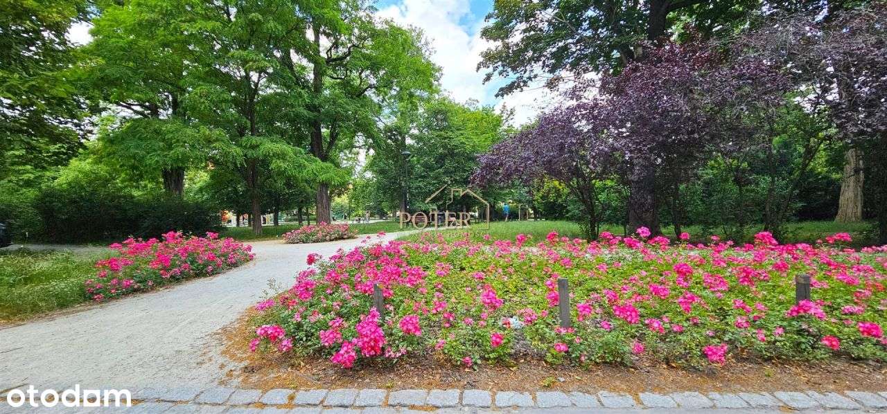 Oddzielna kuchnia | 3 pok.| Media miejskie !-18