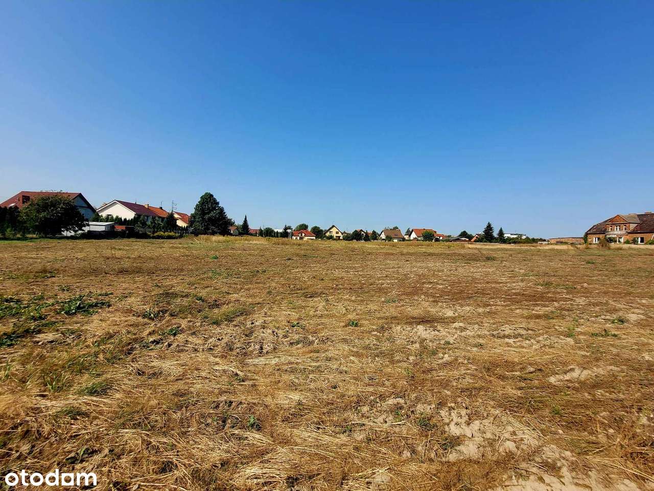 Grunt z potencjałem budowlanym - Poznań, Starołęka - Pełny obrazek: 4/7