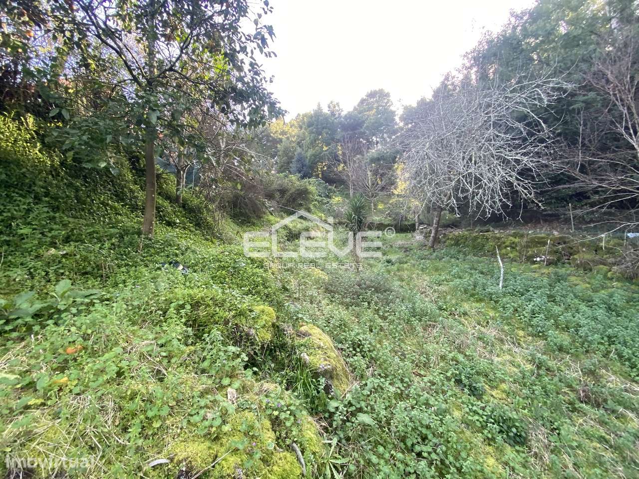 Casa de Campo em Venade-12