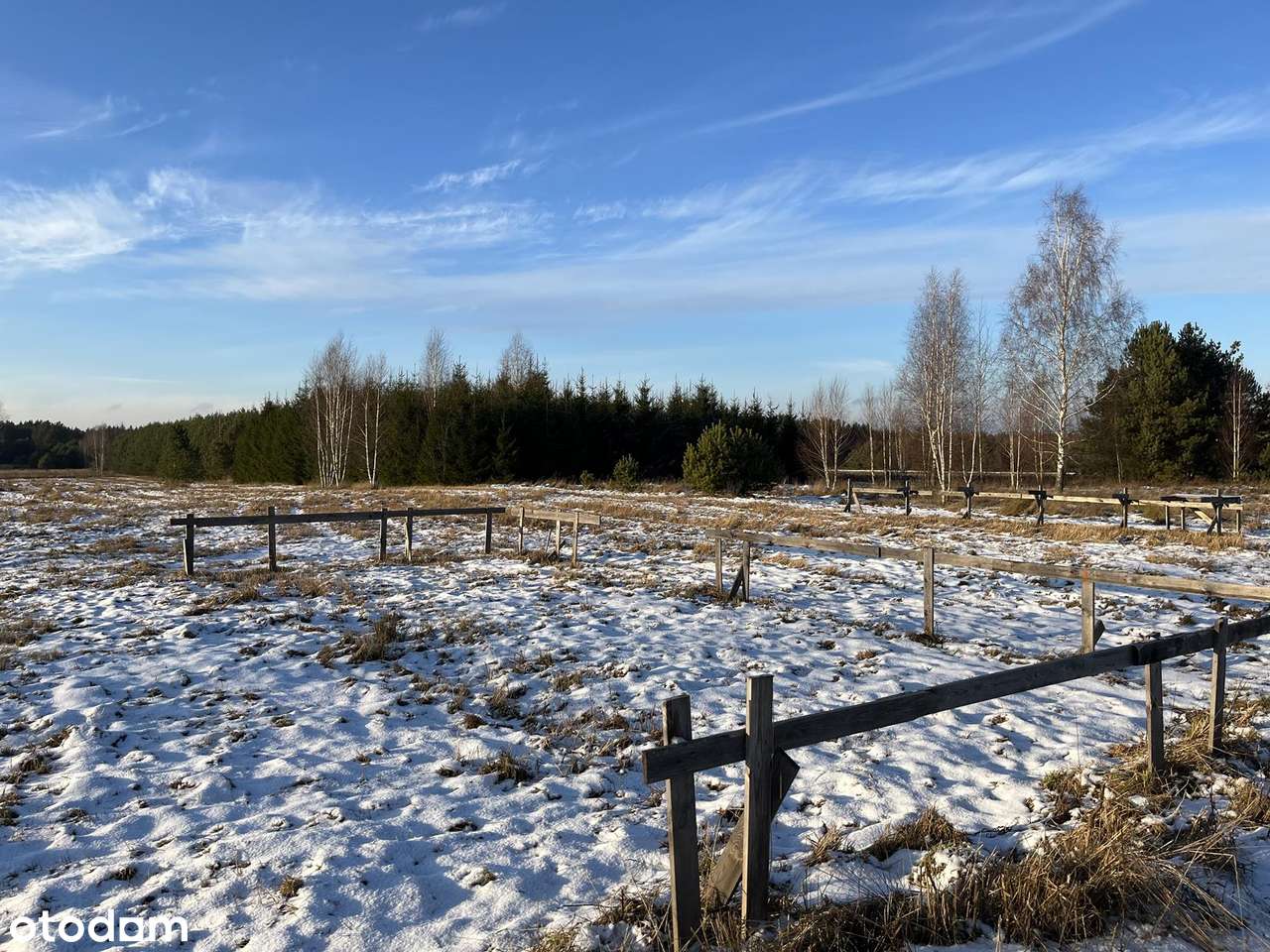 ELIASZUKI Dz o pow 4,4310 ha z własnym Puszczańskim Lasem BEZ SASIADÓW-19