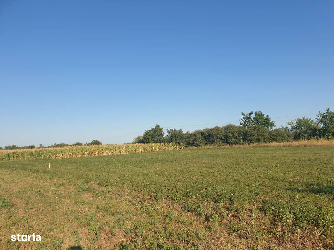 Vanzare teren suprafata de 720 mp. Zadareni - Bodrogul Nou - Imagine principală: 5/7