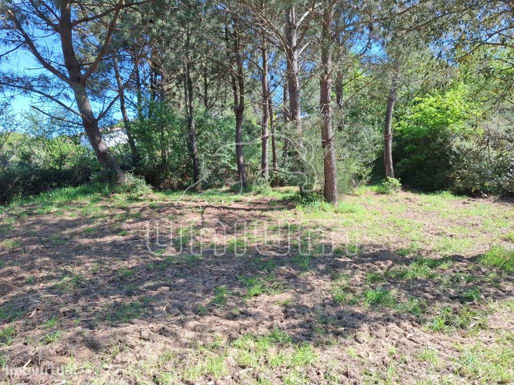 Fabuloso terreno para venda em Seixas-10