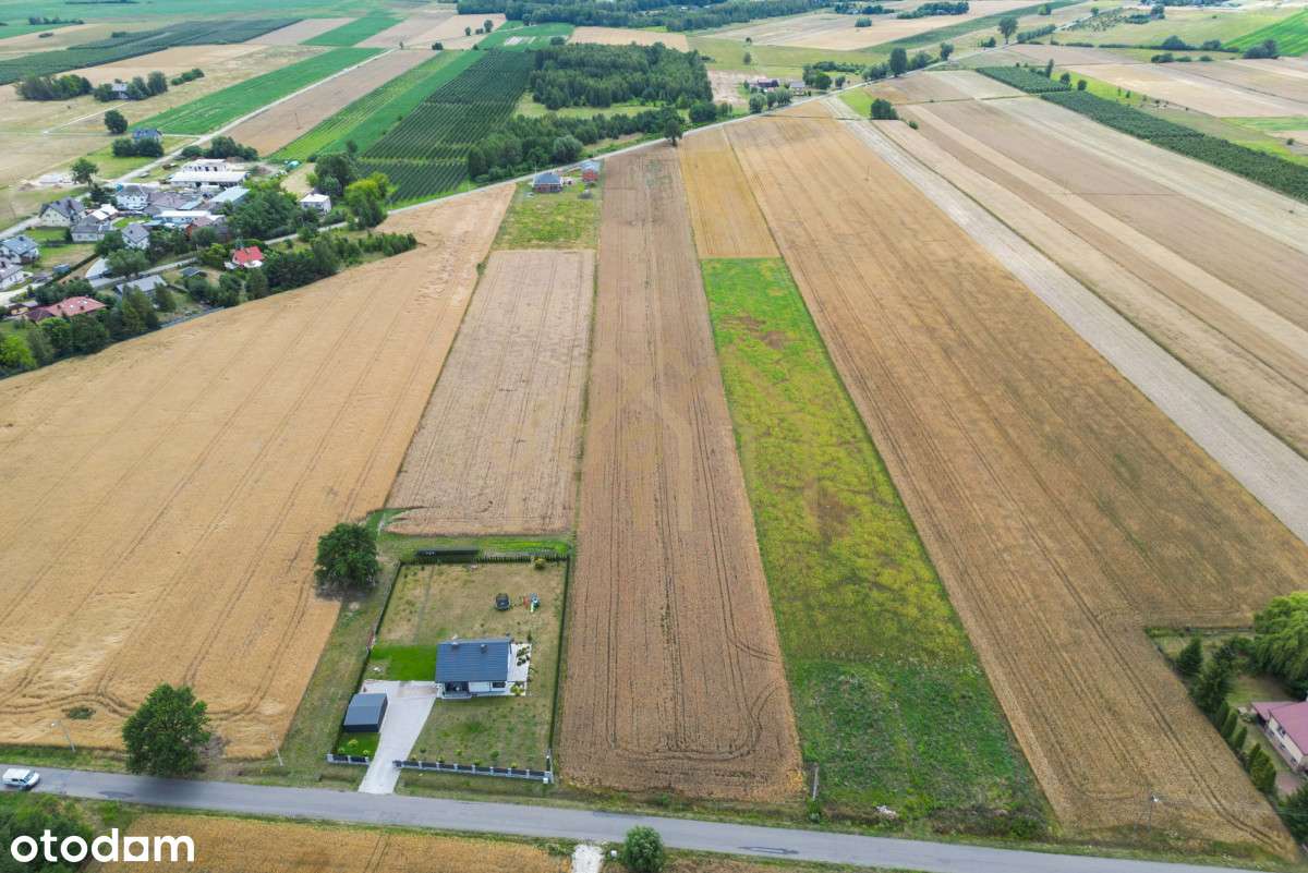 Działka z warunkami Zabudowy/ Chynów/ Grójec - Pełny obrazek: 5/18