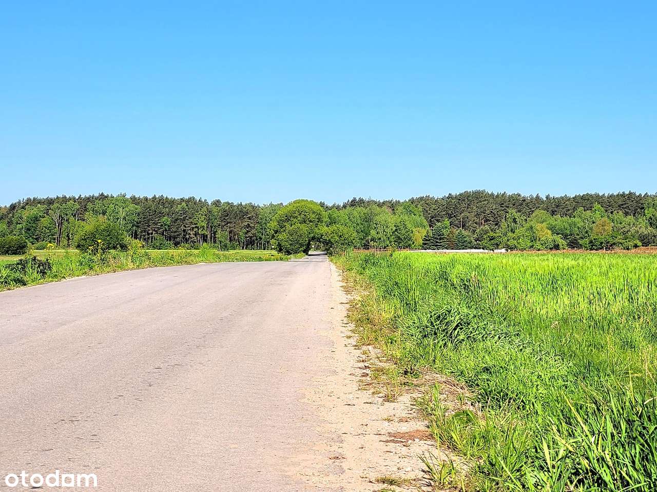 Ziemia rolna i budowlana z MPZP - Pełny obrazek: 3/4