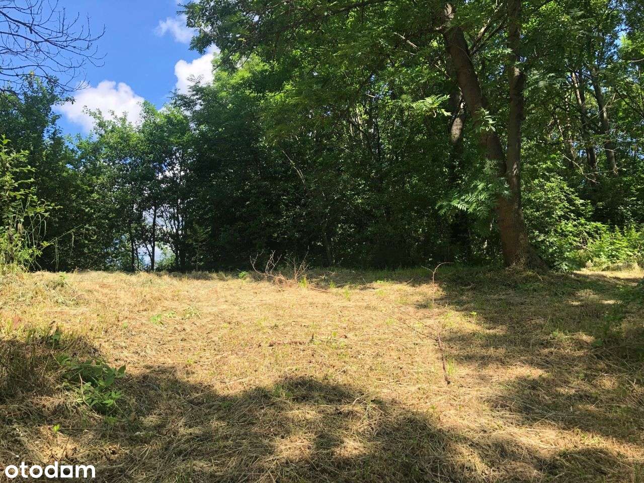 Widokowa działka budowlana- 4096m2, Płonica, 57-250 Złoty Stok - Pełny obrazek: 4/14