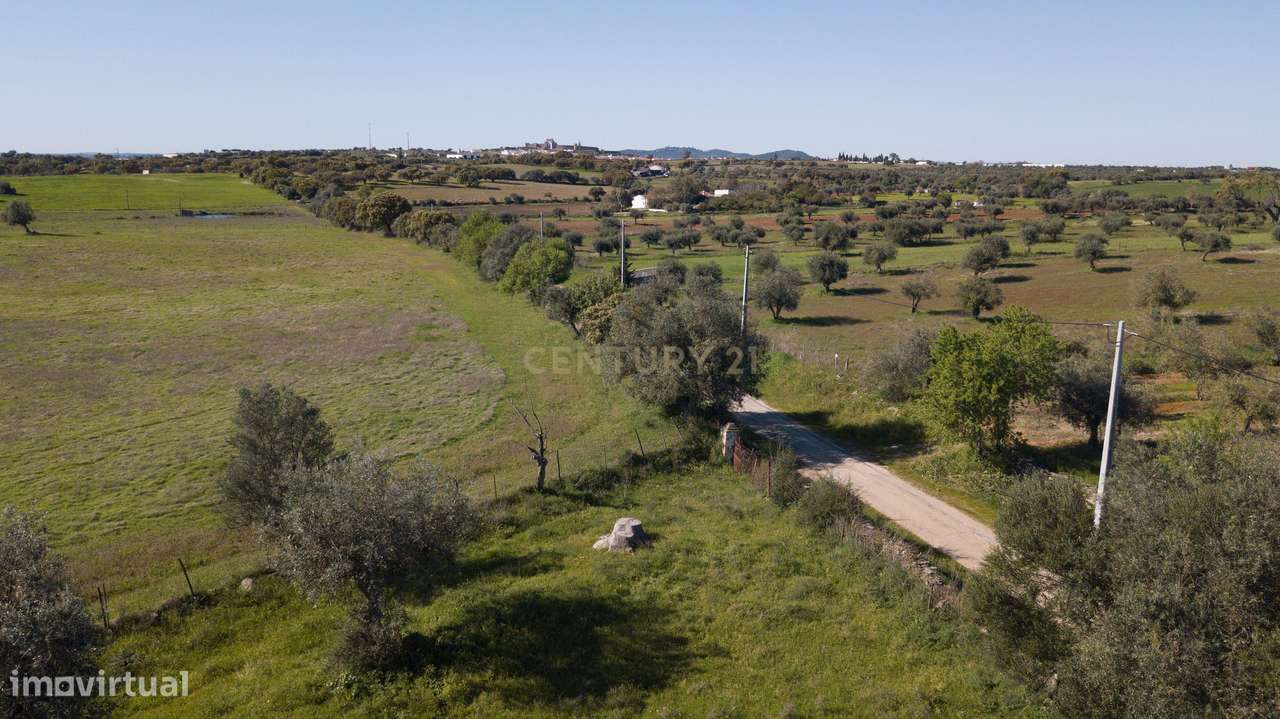 Terreno Mourão - Alentejo-10