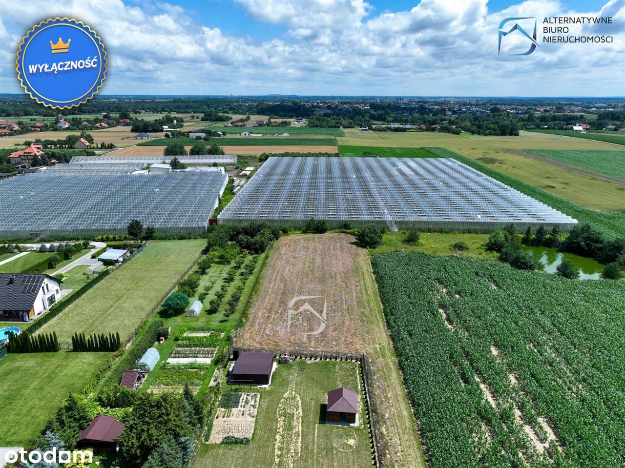 Wyjątkowe działki w Łęcznej, os. Kolonia Trębaczó - Pełny obrazek: 5/12