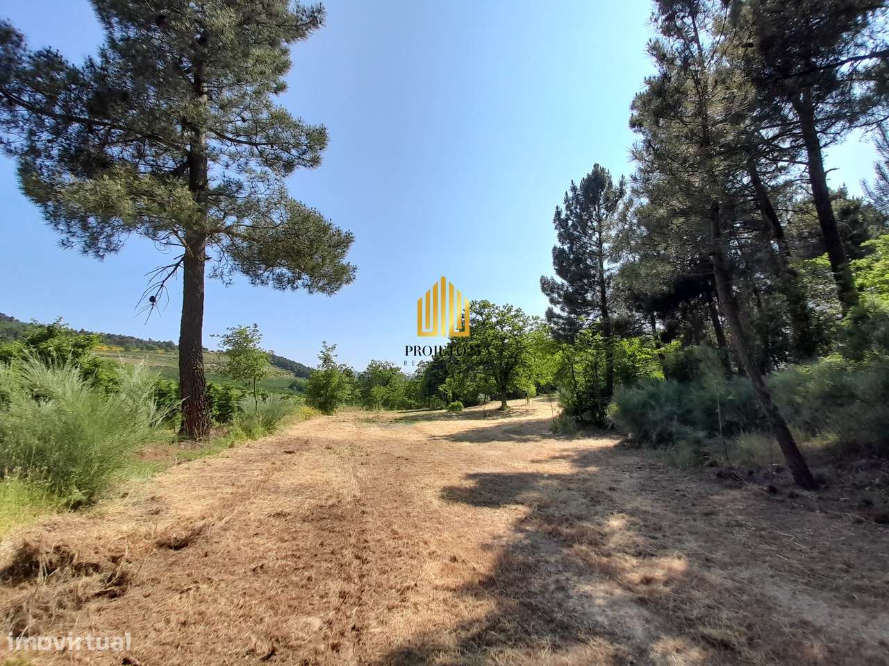 Terreno único com 21.500 m² Zona Vinhateira - Projeto Turístico-21