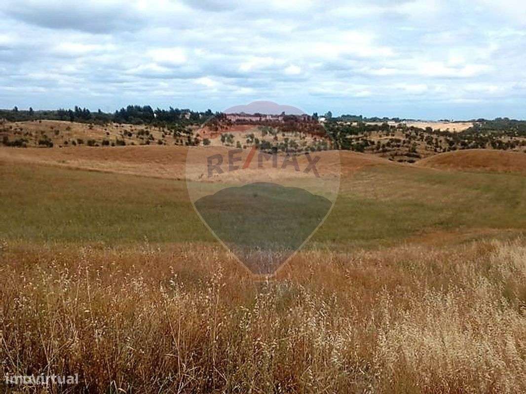 Quinta T3 para venda-4