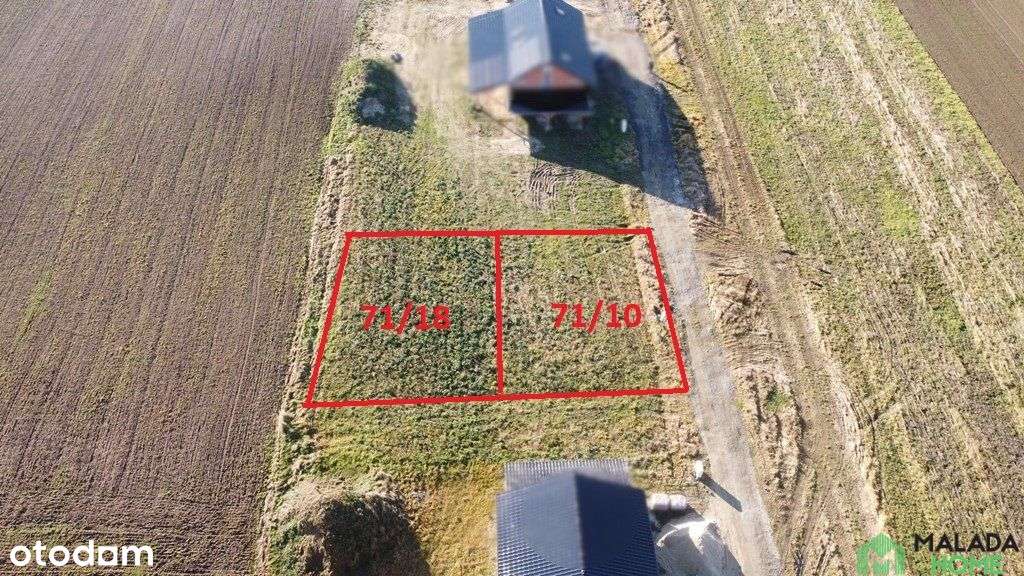 działka w Ciepielowicach - Pełny obrazek: 5/5