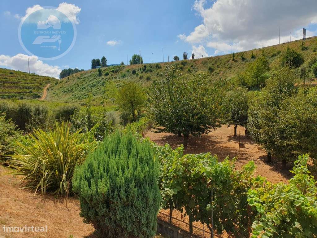 Quintinha à venda- Arco de Baúlhe-52