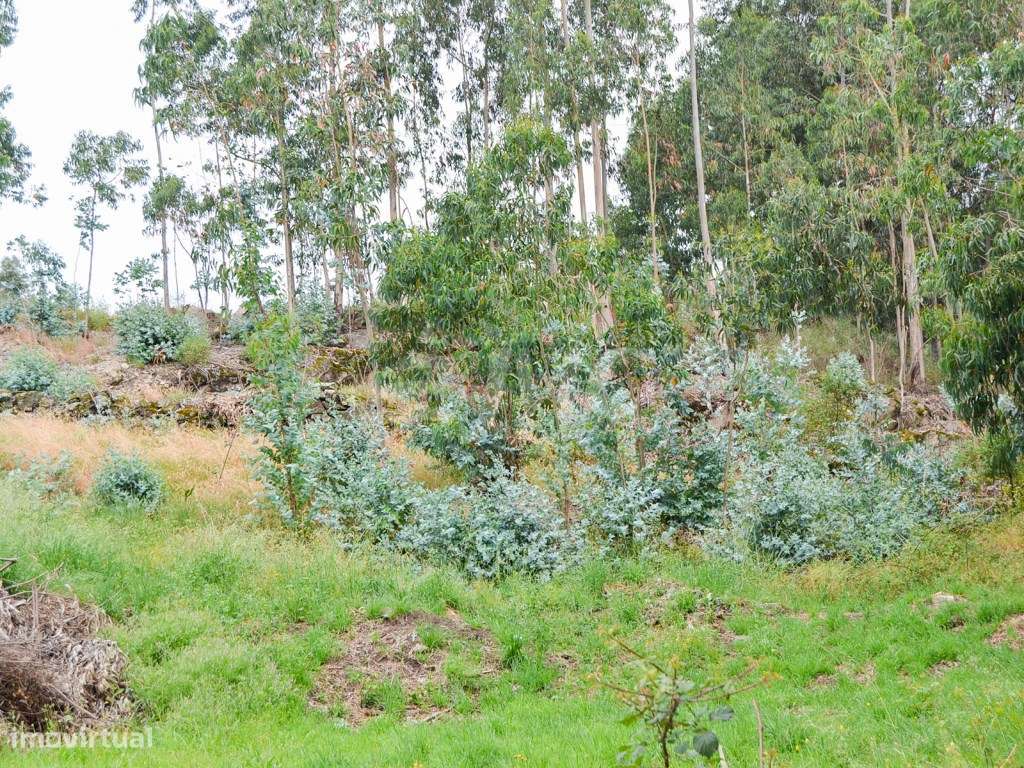 Terreno Milheirós para Moradias-12