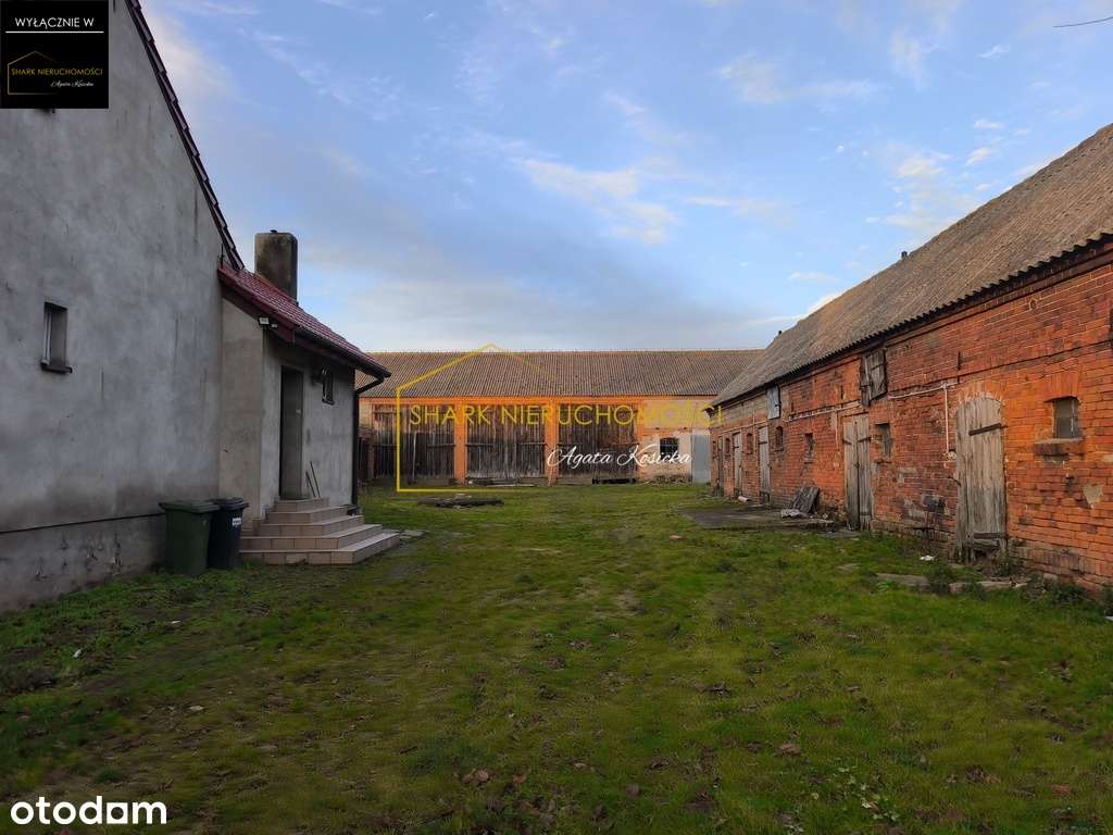 Dom z budynkami gospodarczymi i ziemią rolną - Pełny obrazek: 4/14