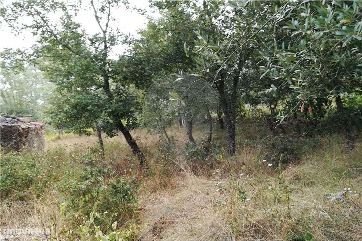 Moradia para recuperação - Grande imagem: 5/12