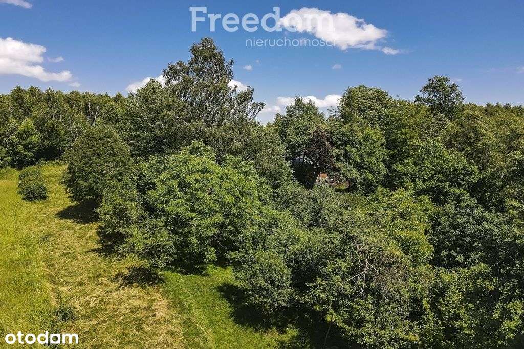 Dom 70 m2 na dużej działce przy lesie - Kielnarowa-8